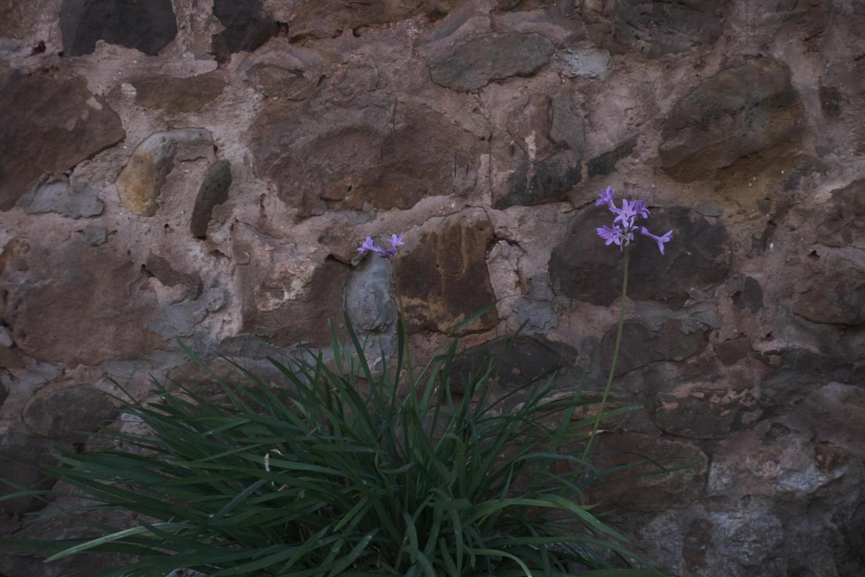 Corrales De Buelna Posada La Estela De Barros מראה חיצוני תמונה